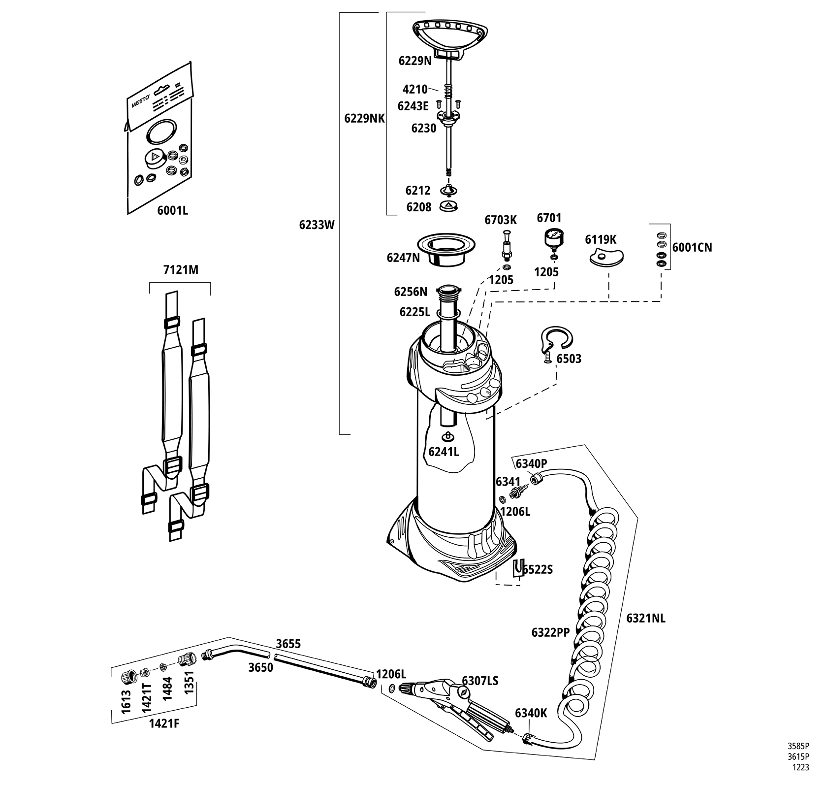 INOX PLUS 10 compression sprayer